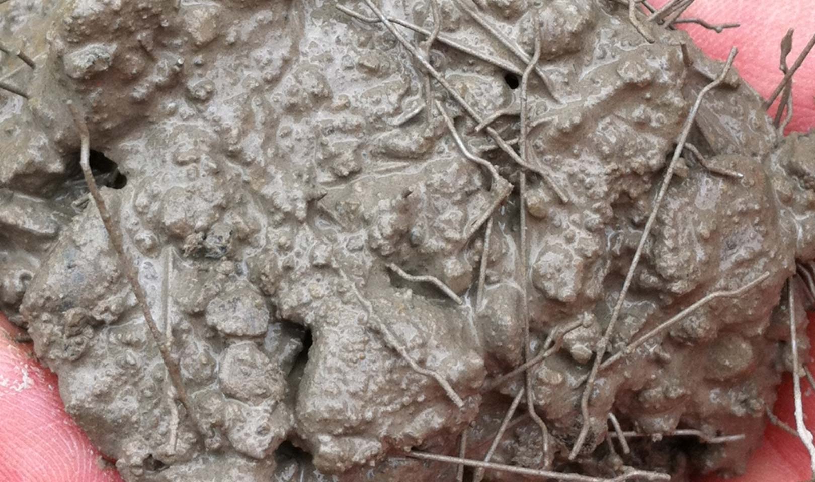 title_6979541ea35e710896483041769559070